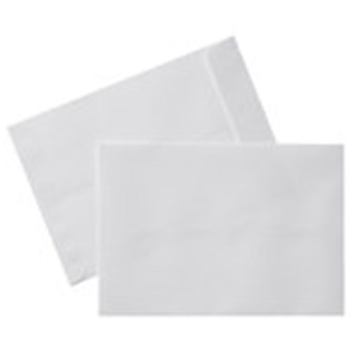 628-597 - ENVELOPE PLN 230 x 150 WHT 500/BOX DBL SERIES 2 - PPG Online